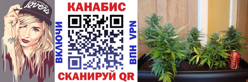 Купить Злынка A PVP  Кокаин  МЕГА   Героин  МАРИХУАНА  Меф мяу мяу 