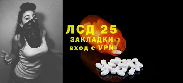 спиды Алзамай