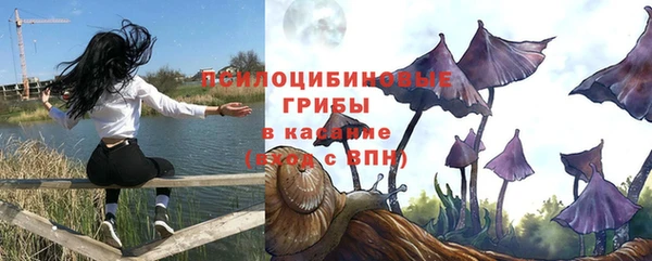 дмт Алексеевка