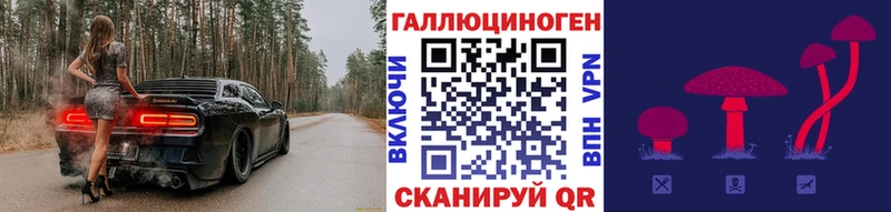 продажа наркотиков  Злынка  сайты даркнета Telegram  Галлюциногенные грибы Magic Shrooms 